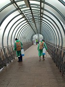 В Воронеже продолжаются работы по санитарной обработке остановочных павильонов