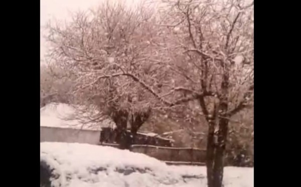 Окрестности Воронежа завалило снегом