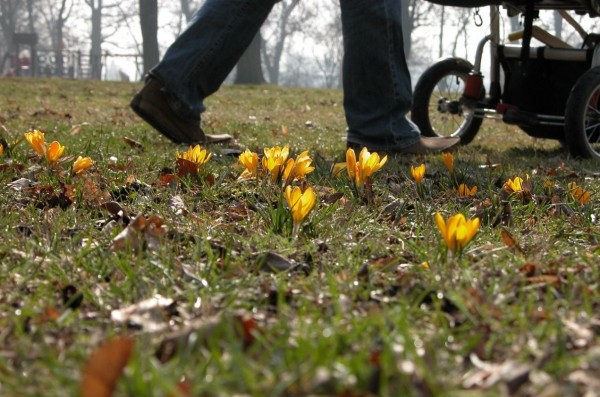 В Воронеже молодой отец стал жертвой мошенников
