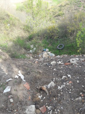 Вокруг озера Круглое в Воронеже снова разгорается скандал&nbsp;
