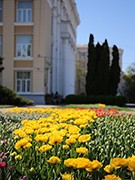 В Воронеже начался самый нежный &laquo;цветочный период&raquo;