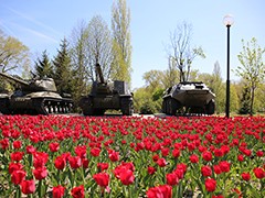 В Воронеже начался самый нежный &laquo;цветочный период&raquo;