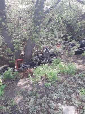 Вокруг озера Круглое в Воронеже снова разгорается скандал&nbsp;
