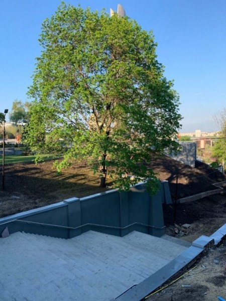 &laquo;Если приёмка, действительно, будет на совесть, то перекладывать придётся почти всю плитку&raquo;. Воронежцы раскритиковали ремонт площади Победы