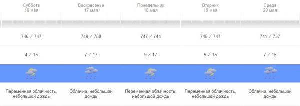 Дожди останутся в Воронеже на несколько дней