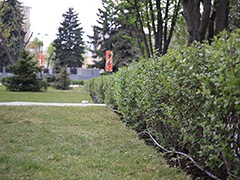 На площади Победы завершен основной комплекс работ