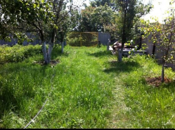 ТОП-5 недорогих воронежских дач &mdash; что можно купить до 200 тысяч рублей