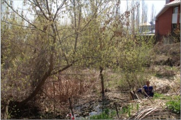 Рядом с набережной Массалитинова построят коттедж в 695 &laquo;квадратов&raquo;. Владелец участка может быть связан с хозяином &laquo;Русского Аппетита&raquo;