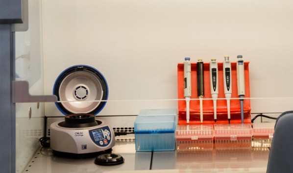 Оперштаб опубликовал данные по коронавирусу в Воронеже и области на вечер 17 мая