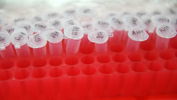 В Воронеже 40 сотрудников вагоноремонтного завода заболели COVID-19