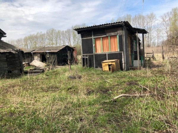 В Воронежской области полиция задержала подозреваемого в 12 кражах&nbsp;
