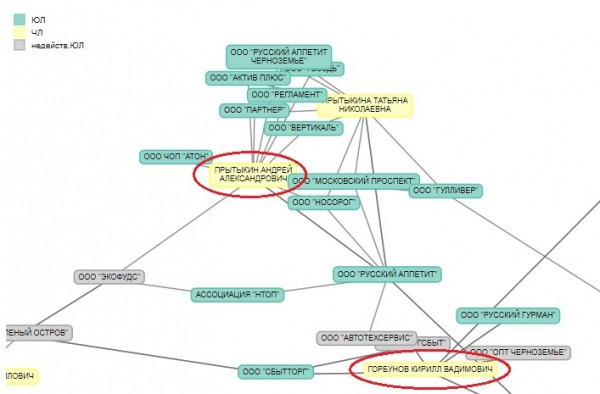 Рядом с набережной Массалитинова построят коттедж в 695 &laquo;квадратов&raquo;. Владелец участка может быть связан с хозяином &laquo;Русского Аппетита&raquo;
