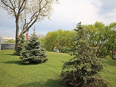 На площади Победы завершен основной комплекс работ