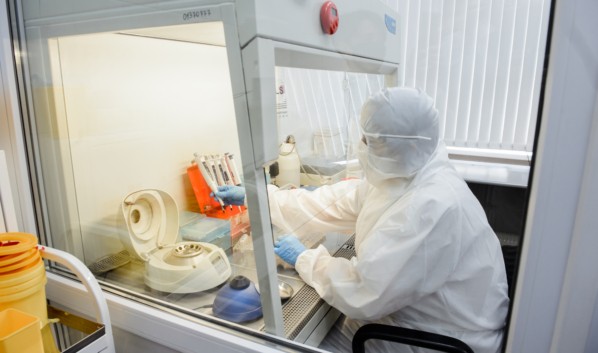 Следят ли на самом деле воронежцы за новостями о коронавирусе