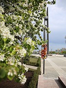 На площади Победы завершен основной комплекс работ