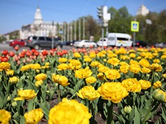 В Воронеже начался самый нежный &laquo;цветочный период&raquo;