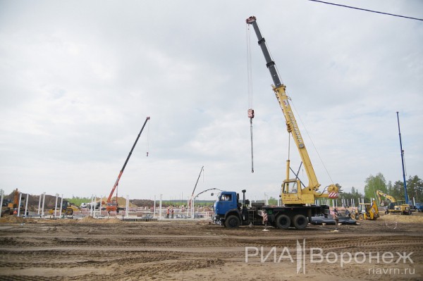 &laquo;По последнему слову техники&raquo;. В Воронеже открылась быстровозводимая больница с дельфином-топиаром