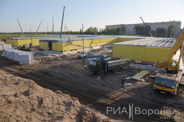 &laquo;По последнему слову техники&raquo;. В Воронеже открылась быстровозводимая больница с дельфином-топиаром