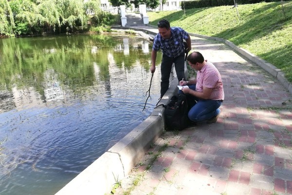 Ботаники ВГУ оценили состояние лебединого озера в Воронеже
