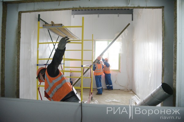 &laquo;По последнему слову техники&raquo;. В Воронеже открылась быстровозводимая больница с дельфином-топиаром