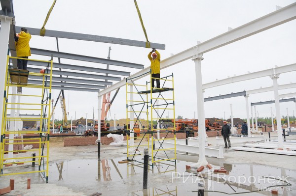 &laquo;По последнему слову техники&raquo;. В Воронеже открылась быстровозводимая больница с дельфином-топиаром