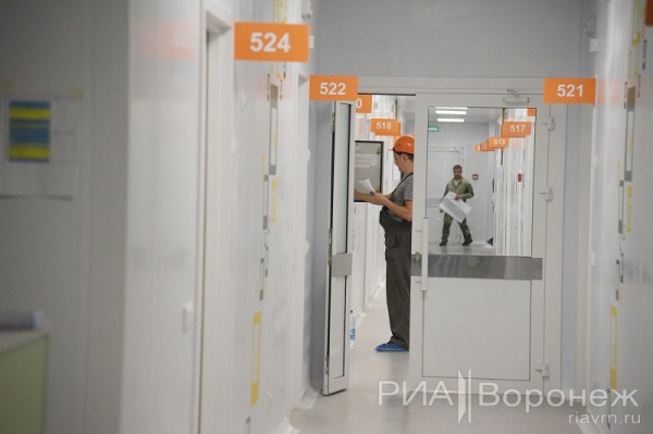 &laquo;По последнему слову техники&raquo;. В Воронеже открылась быстровозводимая больница с дельфином-топиаром