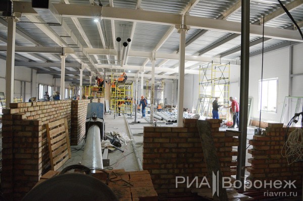 &laquo;По последнему слову техники&raquo;. В Воронеже открылась быстровозводимая больница с дельфином-топиаром