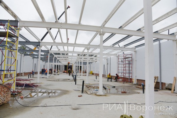 &laquo;По последнему слову техники&raquo;. В Воронеже открылась быстровозводимая больница с дельфином-топиаром