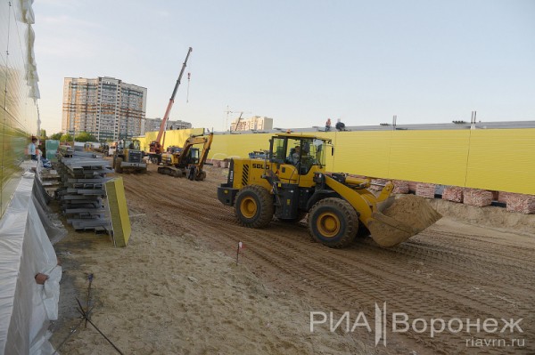 &laquo;По последнему слову техники&raquo;. В Воронеже открылась быстровозводимая больница с дельфином-топиаром