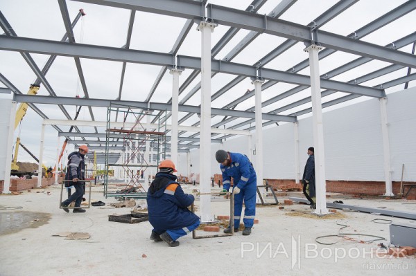 &laquo;По последнему слову техники&raquo;. В Воронеже открылась быстровозводимая больница с дельфином-топиаром