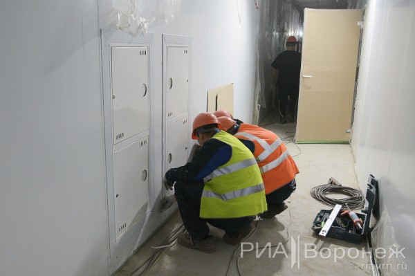 &laquo;По последнему слову техники&raquo;. В Воронеже открылась быстровозводимая больница с дельфином-топиаром