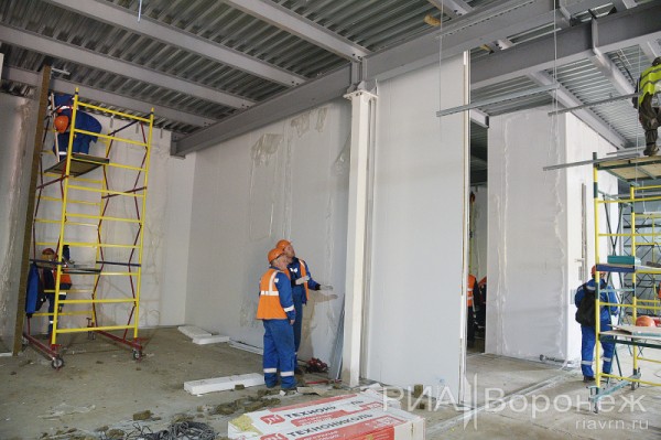 &laquo;По последнему слову техники&raquo;. В Воронеже открылась быстровозводимая больница с дельфином-топиаром