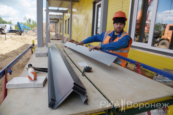 &laquo;По последнему слову техники&raquo;. В Воронеже открылась быстровозводимая больница с дельфином-топиаром