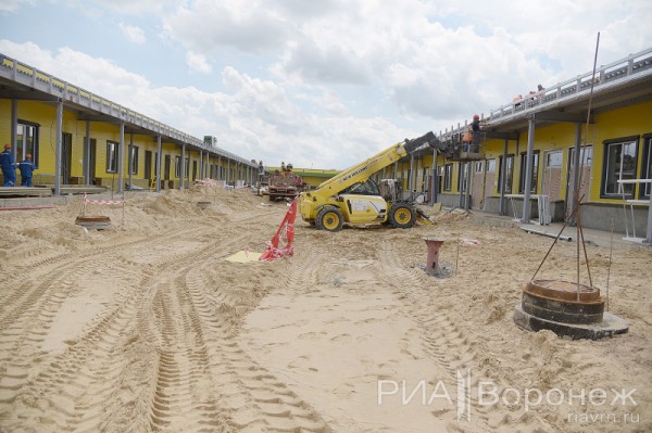 &laquo;По последнему слову техники&raquo;. В Воронеже открылась быстровозводимая больница с дельфином-топиаром