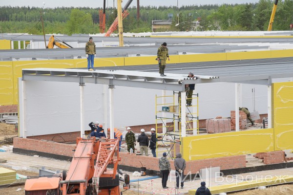 &laquo;По последнему слову техники&raquo;. В Воронеже открылась быстровозводимая больница с дельфином-топиаром