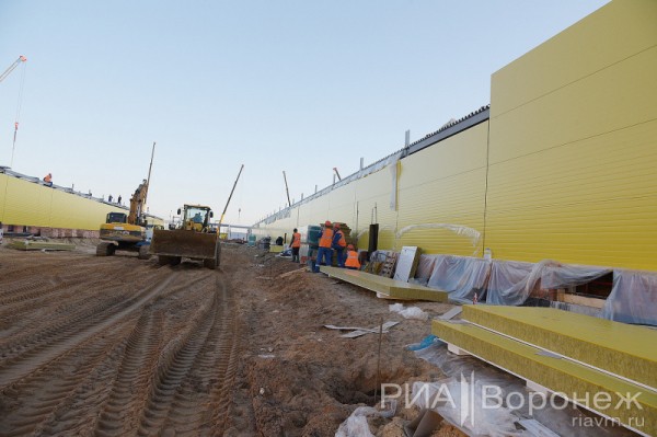 &laquo;По последнему слову техники&raquo;. В Воронеже открылась быстровозводимая больница с дельфином-топиаром