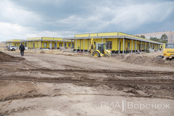 &laquo;По последнему слову техники&raquo;. В Воронеже открылась быстровозводимая больница с дельфином-топиаром