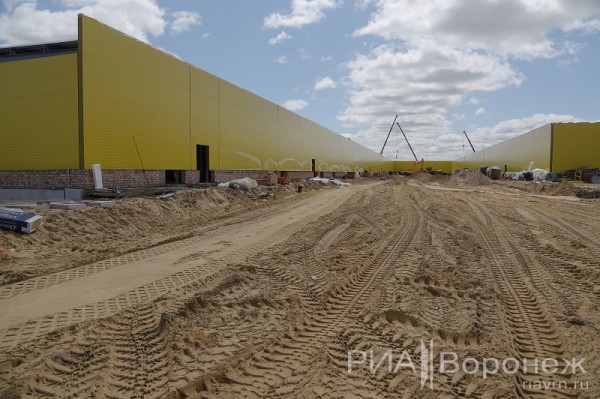 &laquo;По последнему слову техники&raquo;. В Воронеже открылась быстровозводимая больница с дельфином-топиаром