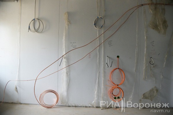 &laquo;По последнему слову техники&raquo;. В Воронеже открылась быстровозводимая больница с дельфином-топиаром