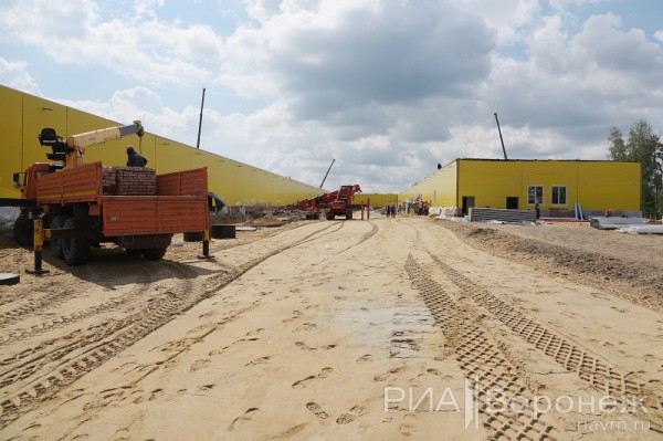 &laquo;По последнему слову техники&raquo;. В Воронеже открылась быстровозводимая больница с дельфином-топиаром