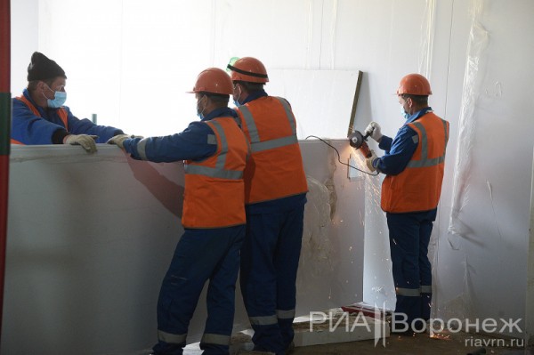 &laquo;По последнему слову техники&raquo;. В Воронеже открылась быстровозводимая больница с дельфином-топиаром