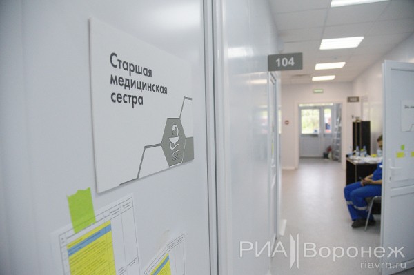 &laquo;По последнему слову техники&raquo;. В Воронеже открылась быстровозводимая больница с дельфином-топиаром