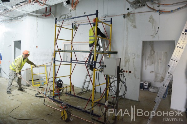 &laquo;По последнему слову техники&raquo;. В Воронеже открылась быстровозводимая больница с дельфином-топиаром