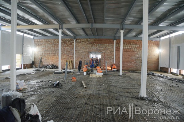 &laquo;По последнему слову техники&raquo;. В Воронеже открылась быстровозводимая больница с дельфином-топиаром