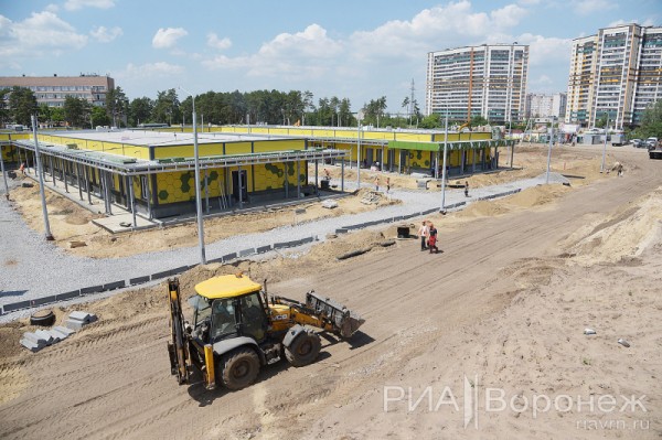 &laquo;По последнему слову техники&raquo;. В Воронеже открылась быстровозводимая больница с дельфином-топиаром