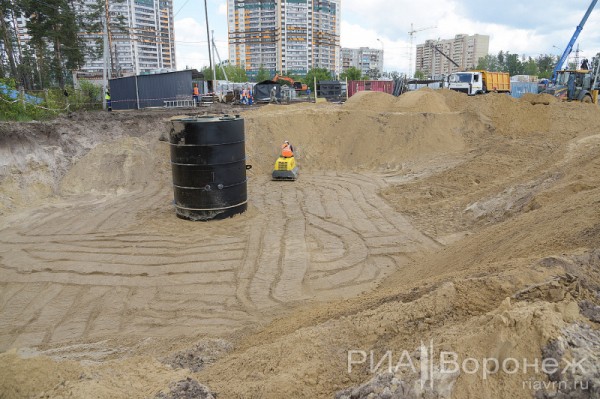 &laquo;По последнему слову техники&raquo;. В Воронеже открылась быстровозводимая больница с дельфином-топиаром