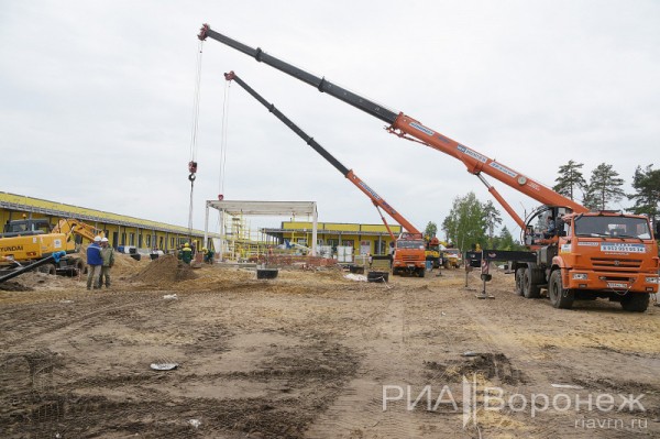 &laquo;По последнему слову техники&raquo;. В Воронеже открылась быстровозводимая больница с дельфином-топиаром
