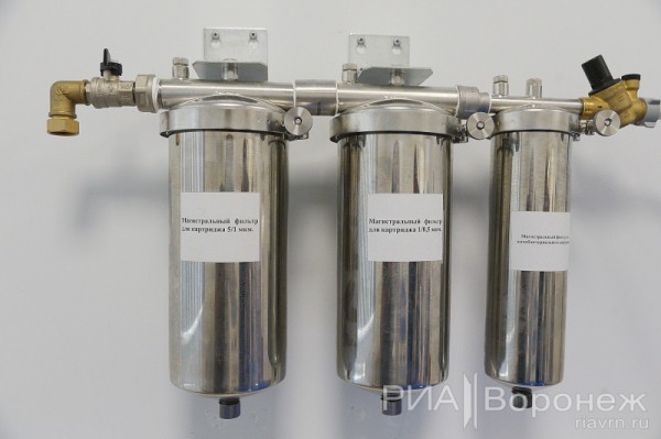 &laquo;По последнему слову техники&raquo;. В Воронеже открылась быстровозводимая больница с дельфином-топиаром