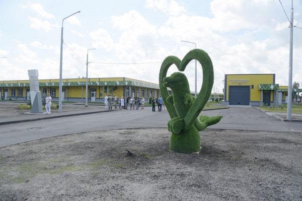 &laquo;По последнему слову техники&raquo;. В Воронеже открылась быстровозводимая больница с дельфином-топиаром