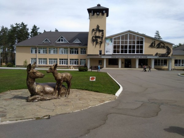 Экс-директора Воронежского заповедника осудили за растрату
